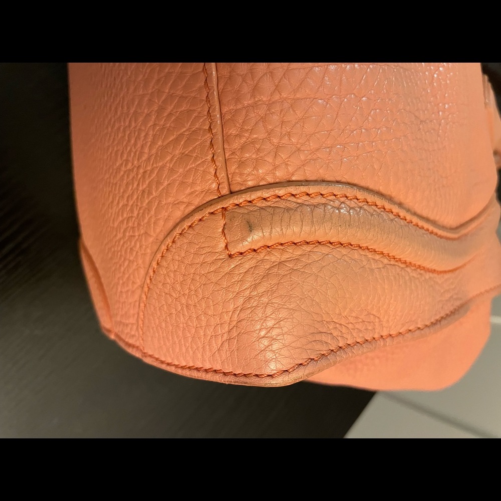 Celine Luggage Bag - Japan Exclusive - Picture 10 of 12